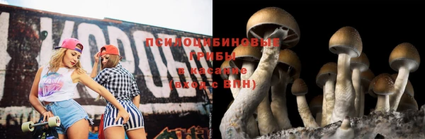первитин Вязьма