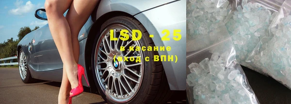 шишки Вяземский