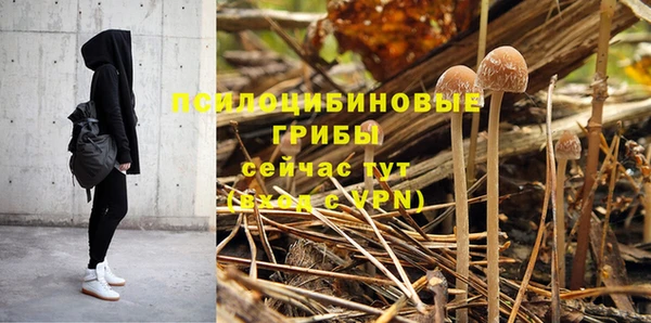 первитин Вязьма