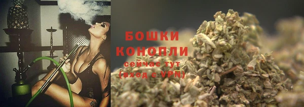 шишки Вяземский