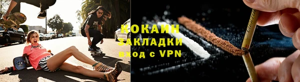 шишки Вяземский