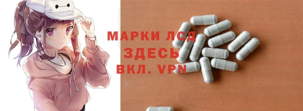 ПСИЛОЦИБИНОВЫЕ ГРИБЫ Вязники