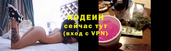 шишки Вяземский