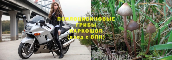 ПСИЛОЦИБИНОВЫЕ ГРИБЫ Вязники