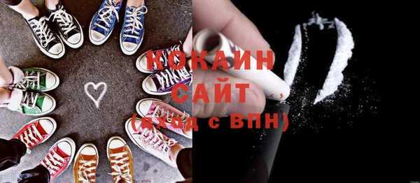 шишки Вяземский