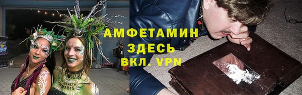 ПСИЛОЦИБИНОВЫЕ ГРИБЫ Вязники