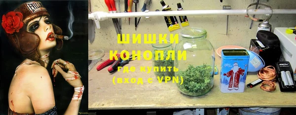 шишки Вяземский