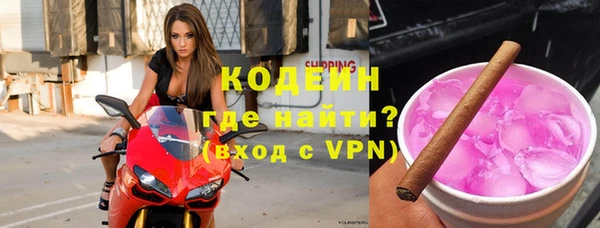 шишки Вяземский