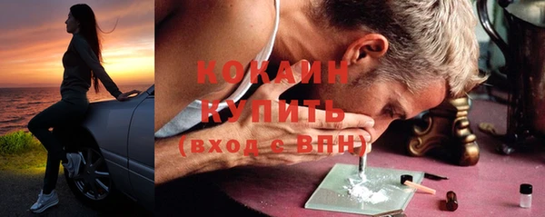 ПСИЛОЦИБИНОВЫЕ ГРИБЫ Вязники