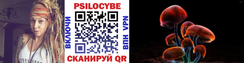 Галлюциногенные грибы Cubensis  закладка  KRAKEN зеркало  Петровск-Забайкальский 